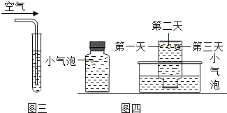 实验电炉价格及其相关因素探讨