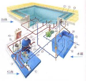 泳池水处理系统